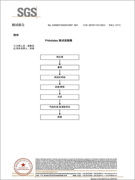材通管業SGS檢測報告第六頁（中文）